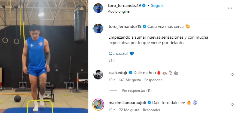 Publicación del Toro Fernández