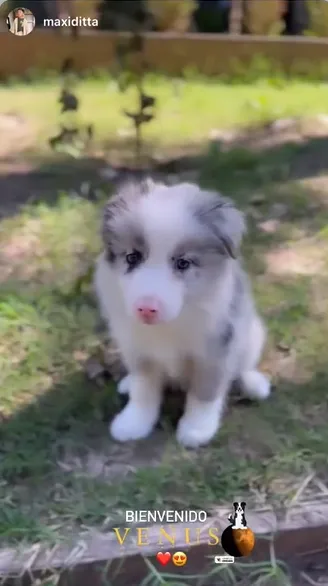 Primera foto de Venus en su llegada a la familia de Willer Ditta