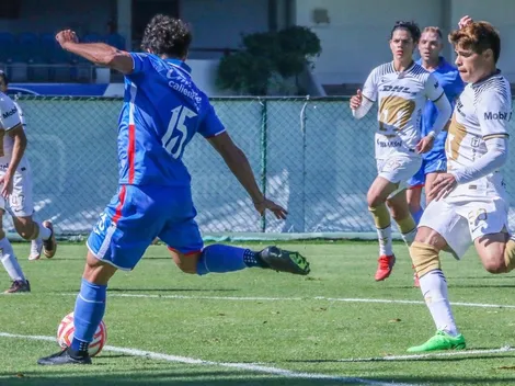 Noticias 8 de diciembre