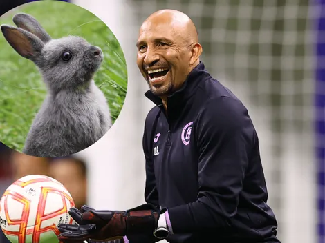 En el Día Internacional del Conejo, Cruz Azul no podía dejar pasar por alto a su futuro DT