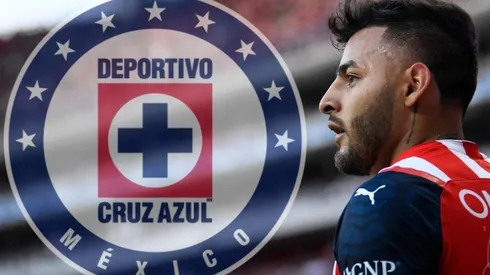 ¿Lleva piel celeste?