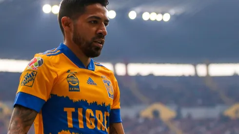 Aquino con los felinos