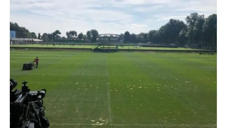 El césped de la cancha principal sufre de una plaga que deterioró por completo el terreno