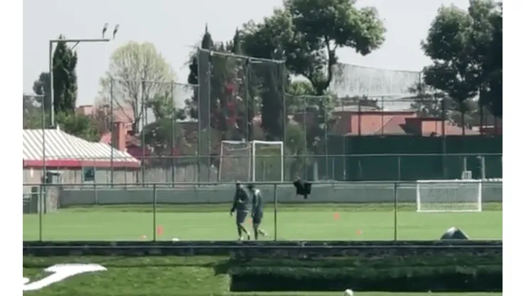 Hernández no pudo terminar la práctica de esta mañana.