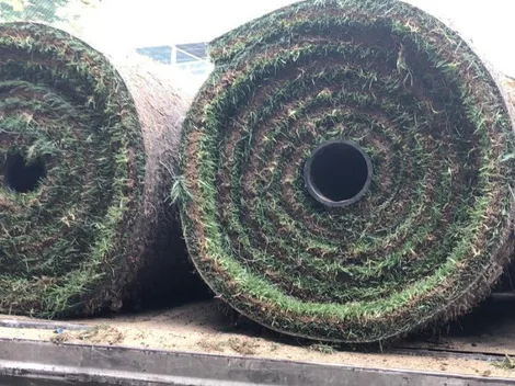 Comienzan la renovación del pasto del Estadio Azteca