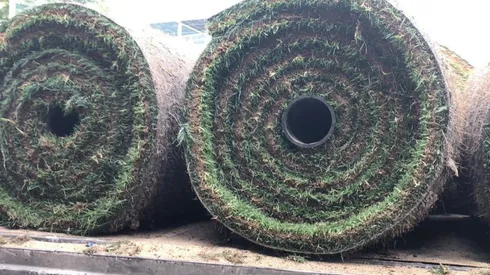 El pasto nuevo del Azteca será plantado hoy. (TVC Deportes)