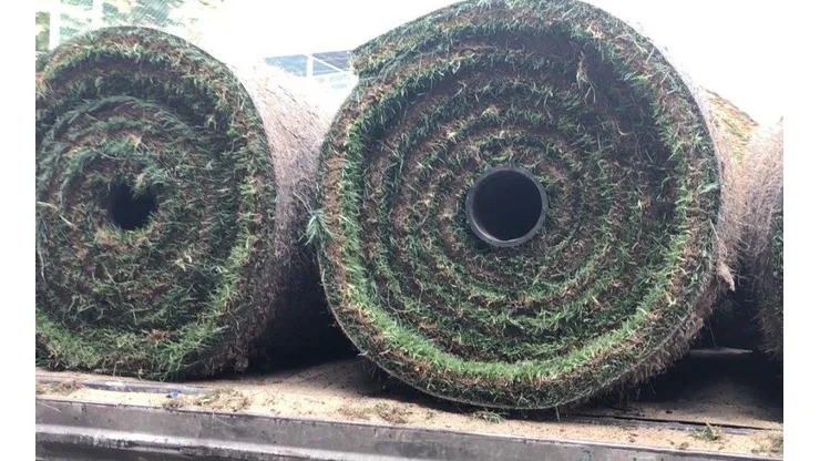 El pasto nuevo del Azteca será plantado hoy. (TVC Deportes)