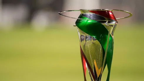El 8 de enero será el inicio del Clausura 2019 en la Copa MX.