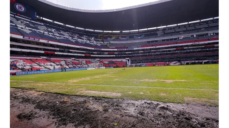 Se espera que el campo esté en buenas condiciones