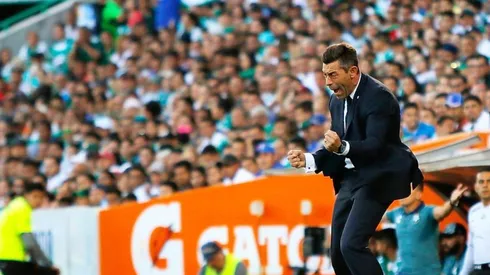 Pedro Caixinha estudió todo sobre el césped híbrido.