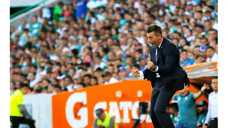 Pedro Caixinha estudió todo sobre el césped híbrido.