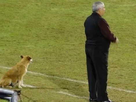 La hermosa auxiliar técnica de una ex gloria de Cruz Azul