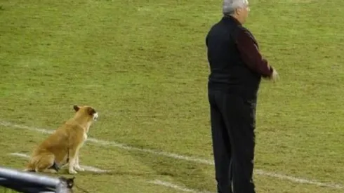 La hermosa auxiliar técnica de una ex gloria de Cruz Azul