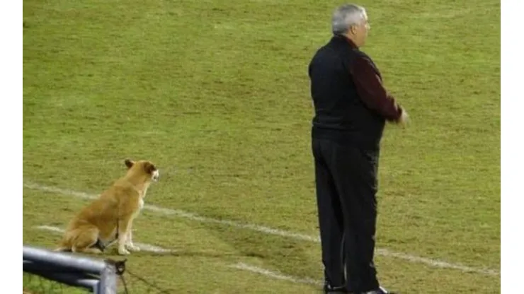 La hermosa auxiliar técnica de una ex gloria de Cruz Azul