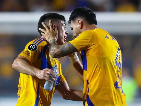 Figura de Tigres desnudó sus debilidades para la revancha