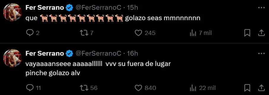 Publicaciones de la esposa de Santi Giménez en X.