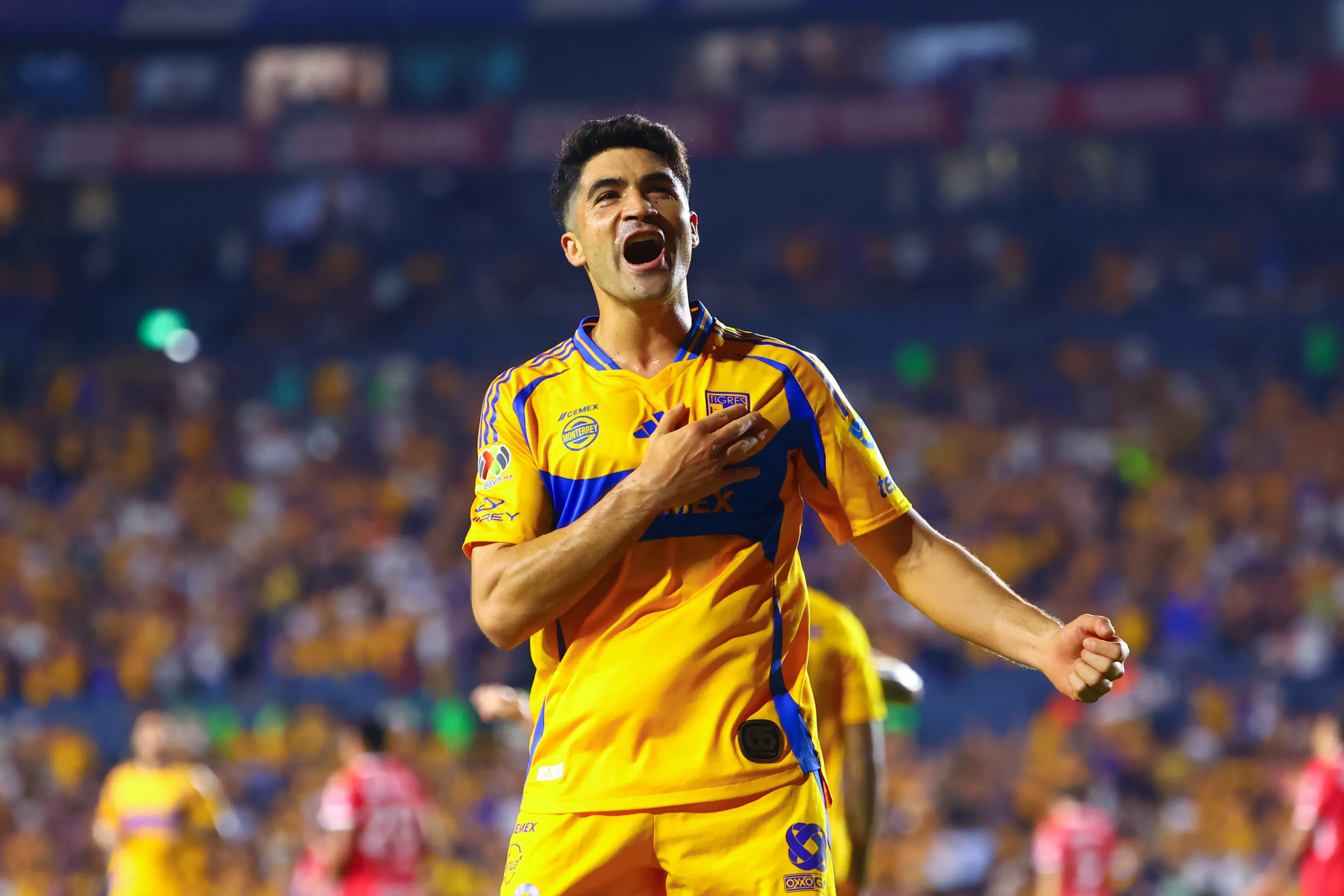 ¿Cruz Azul lo fichará? Tigres le daría las gracias a Nicolás Ibáñez (Imago 7)