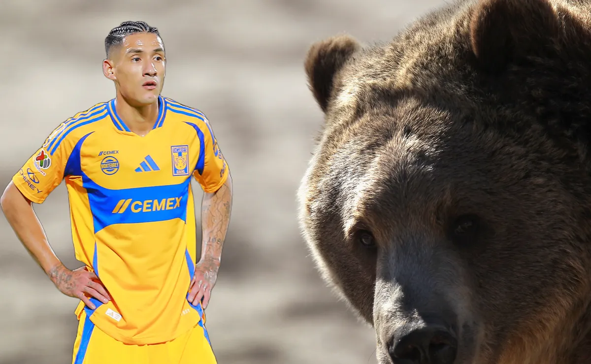 Ex Cruz Azul: Una familia de osos invade la casa de Uriel Antuna y se roban una mochila