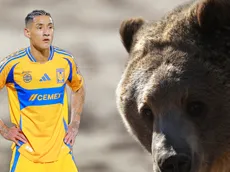 Surrealista: osos invaden la casa de Uriel Antuna en Monterrey