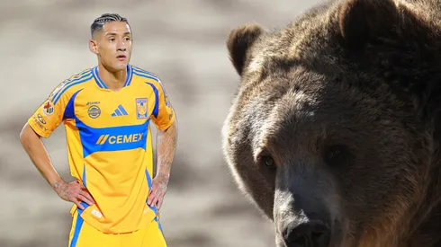 Uriel Antuna vivió un momento atípico en su residencia en Monterrey tras ser invadido por una familia de osos. El momento quedó grabado.