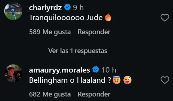 Los apodos de Cruz Azul para el Toro Fernández. (@toro_fernandez19)