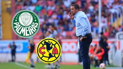 Jardine hizo su primer pedido a América y llegará un "refuerzo" desde Palmeiras.