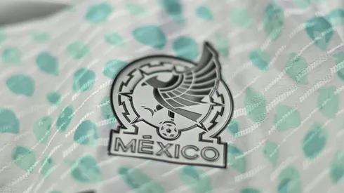 Un ex americanista tiene posibilidades de dirigir al Tricolor.