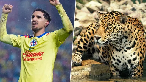 ¿América será campeón del Apertura 2023?