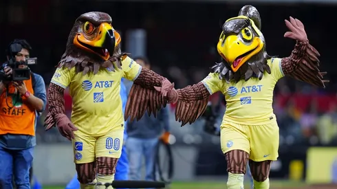 Avi es el nombre de la nueva mascota de América Femenil.