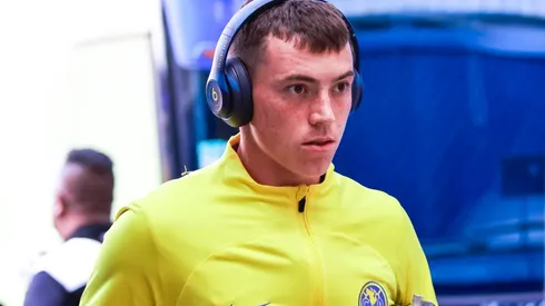 Viñas y un presente magro en América.