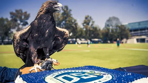 Un día como hoy, pero de 1981, nacieron las Águilas.