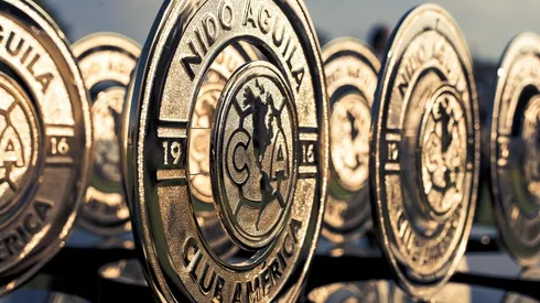 América advierte sobre sus Nidos oficiales.