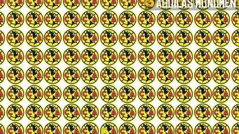 Diviértete con el reto visual de América