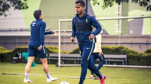 Así será el formato del torneo amistoso que se jugará en julio.