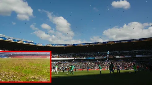 Estadio La Corregidora.