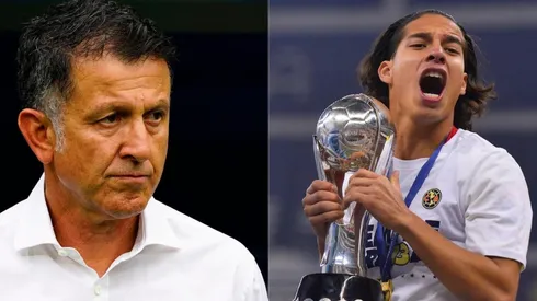 Cree que podría encajar bien en Ámsterdam