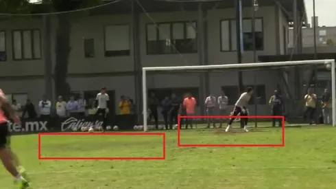 Checa cómo está de destrozado el césped