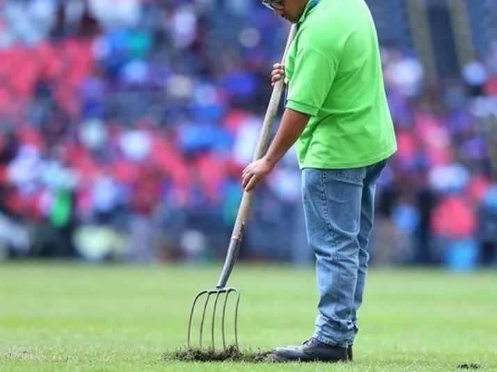 "El césped híbrido no es adecuado para la Ciudad de México": Raúl Barrios