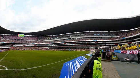 El césped híbrido no se afirma