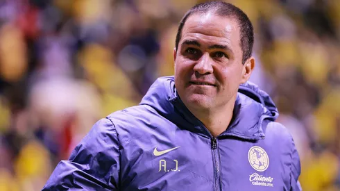 Han conquistado la mirada de Jardine.