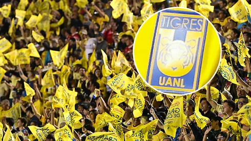 No pueden ni ser considerados.