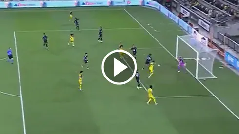 La pantera apareció en el momento justo.