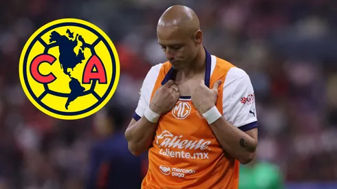 El reto pendiente que dejaría Chicharito con América si sale de Chivas en diciembre