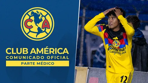 Violante estará fuera un largo tiempo.