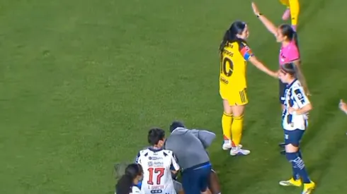 ¡Pésimas noticias para el Nido!
