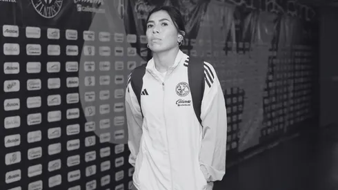 ¡Se reveló una de las actualizaciones que todos querían saber! 
