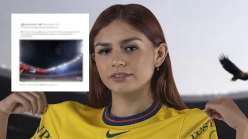 ¡Sigue el tema del césped!
