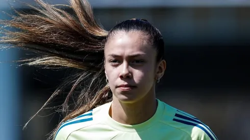 ¡Notificaciones importantes!