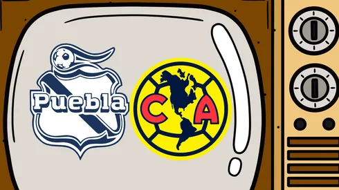 ¡Todo lo que debes saber!