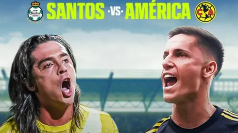 Revelan datos y estadísticas importantes